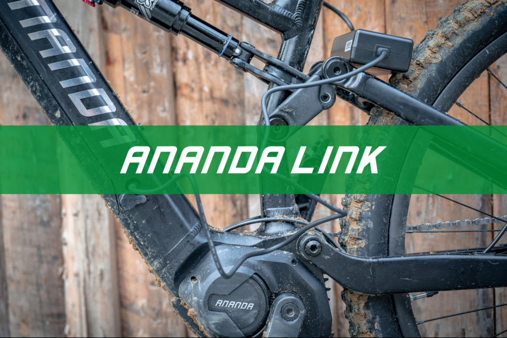 Services - Ananda
